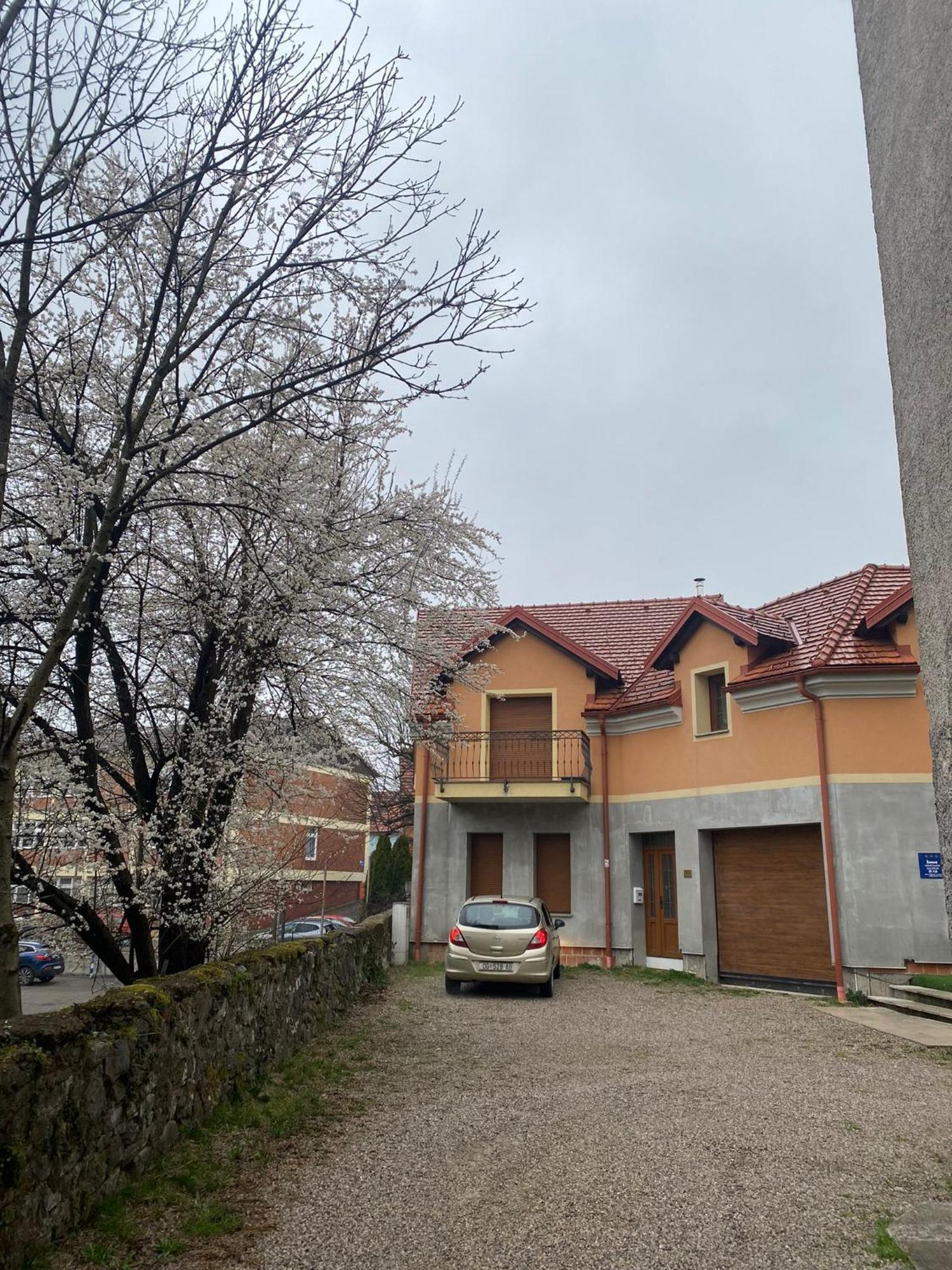 Apartman Galerija オグリン エクステリア 写真